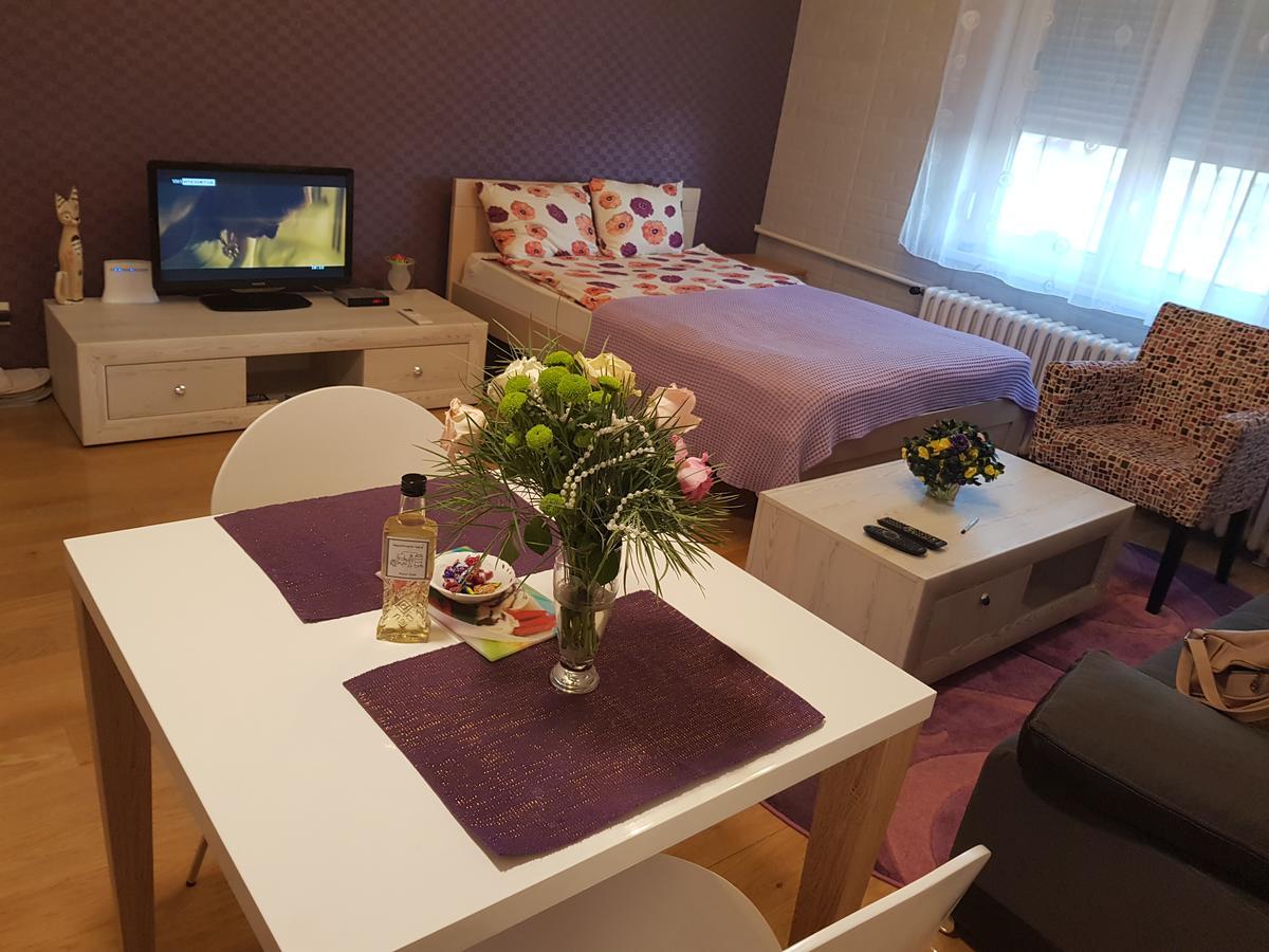 Sara - Modern Apartment In The City Center Novi Sad Exterior foto
